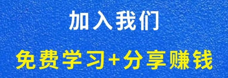 白菜价解锁20000+N个赚钱机会，加入轻创终点站会员，全站资源免费学习。-小七网创