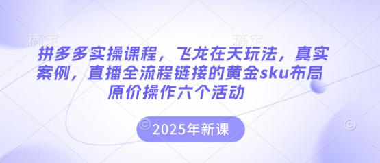 拼多多实操课程,飞龙在天玩法,真实案例,直播全流程链接的黄金sku布局原价操作六个活动-小七网创
