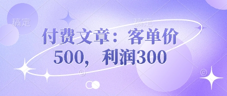 付费文章：客单价500，利润300-小七网创