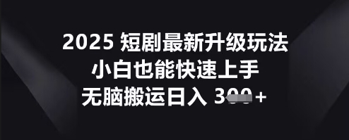 2025短剧最新升级玩法，小白也能快速上手，无脑搬运日入3张_小七网创