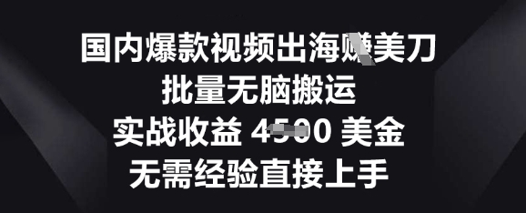 国内爆款视频出海挣美刀，批量无脑搬运，实战收益4.5k，无需经验直接上手-小七网创