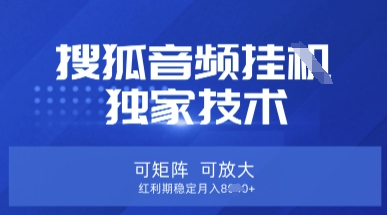 【搜狐音频挂G】独家技术,可矩阵可放大,红利期稳定月入8k【揭秘】-小七网创