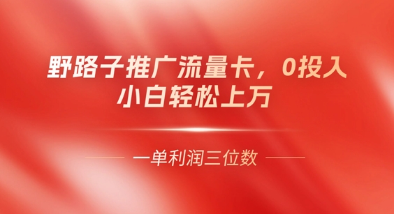 0门槛推广流量卡,一单收益上百,0投入,小白月入过W-小七网创