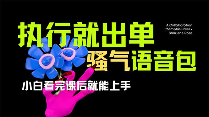（14170期）爆火全网的开车导航骚气语音包,只要执行就出单，小白看完课程就能实操...-小七网创