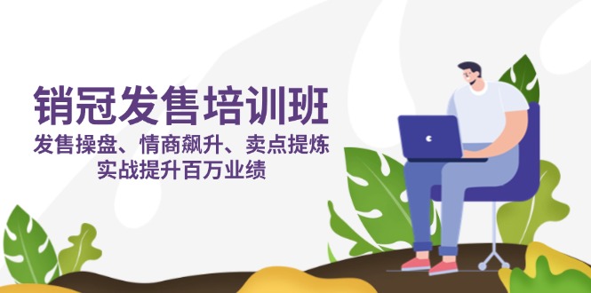 （14203期）销冠 发售培训班：发售 操盘+情商 飙升+卖点 提炼，实战提升百万业绩-小七网创