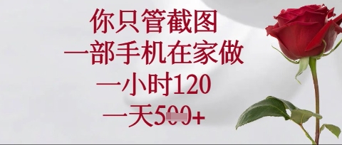 你只管截图，一部手机在家操作，一小时120.一天5张【揭秘】-小七网创