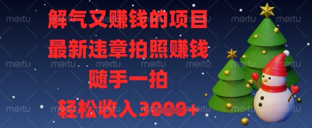 解气又挣钱的项目，最新违章拍照挣钱，随手一拍，轻松收入数张【揭秘】-小七网创